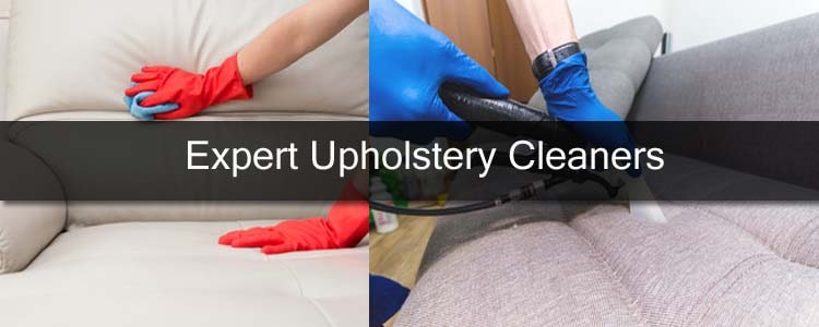 Expert Upholstery Cleaners