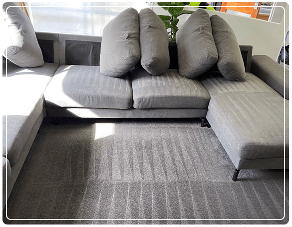 The Best Couch Steam Cleaning And Scotchgard Protection Geelong